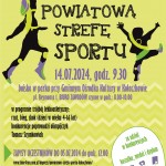 Powiatowa Strefa Sportu w Kołaczkowie - crop